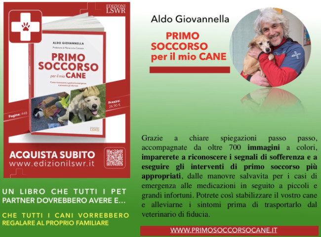 Primo soccorso